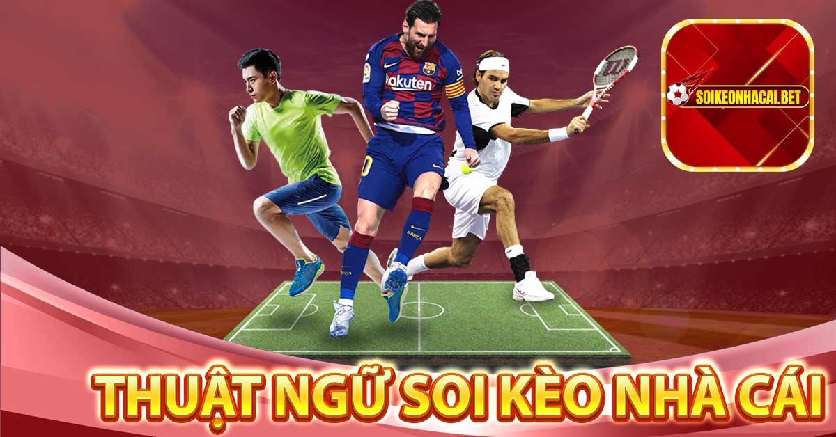 Thuật ngữ soi kèo được anh em bet thủ dùng nhiều nhất