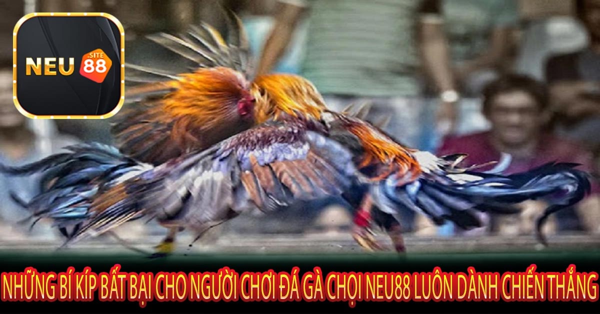 Những Bí Kíp Bất Bại Cho Người Chơi Đá Gà Chọi Neu88 Luôn Dành Chiến Thắng